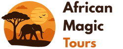 africanmagictours.co.tz